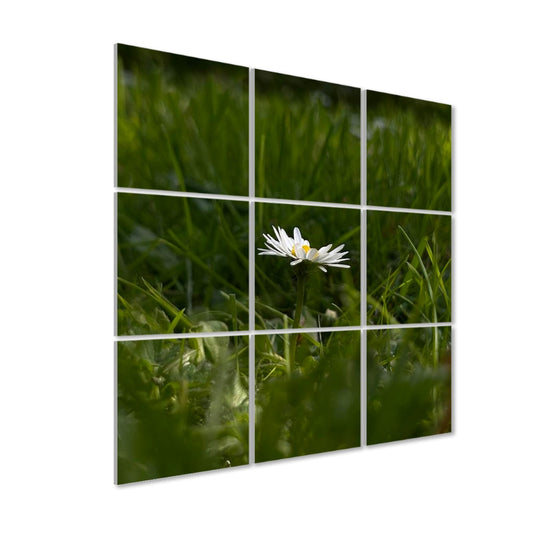 Angled left-side view of acoustic panels featuring a white daisy emerging from a grassy field in natural full color and warm light.