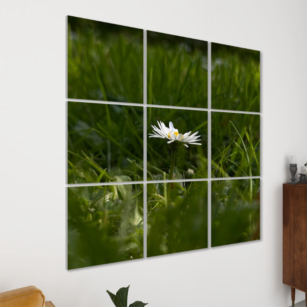 Angled left-side view of acoustic panels featuring a white daisy emerging from a grassy field in natural full color and warm light.