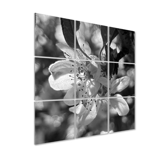 Left angle view of grayscale version of 9 acoustic panels showing a softly glowing flower with warm highlights and gentle petal detail.