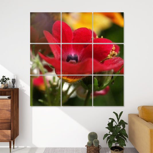 Close-up of vivid red Nemesia flower in bloom, set against a lush green and orange floral background in full color.