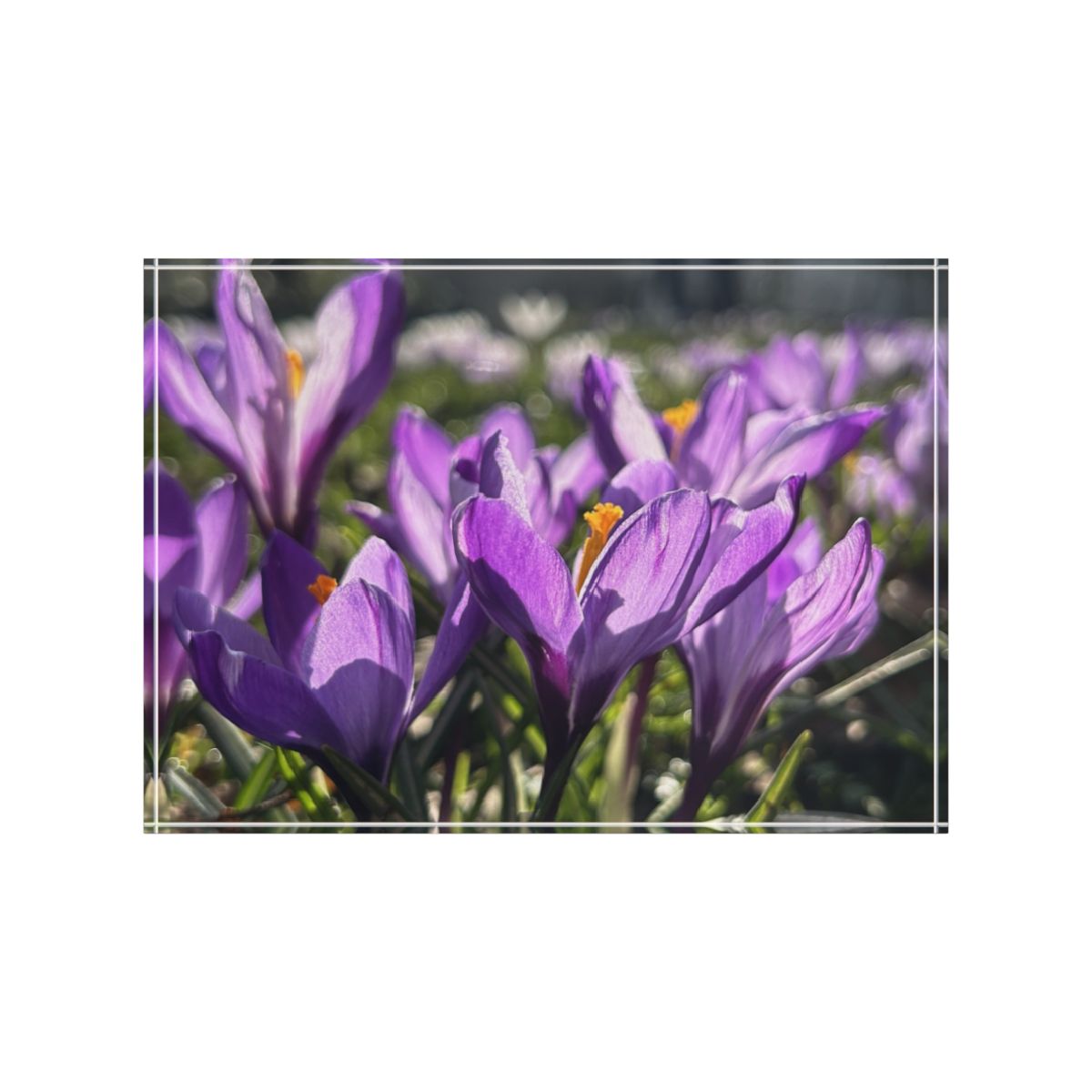 floral acrylic photo block