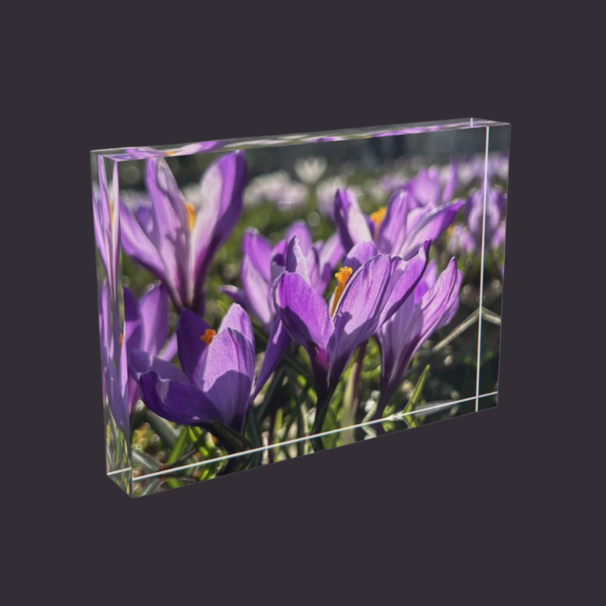 floral acrylic photo block