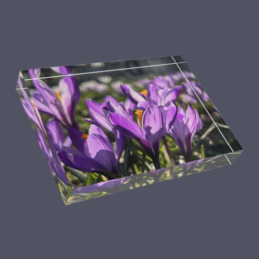 floral acrylic photo block
