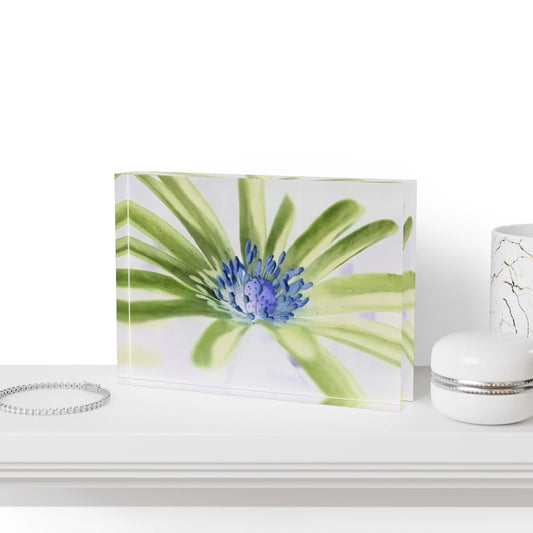 Inverted Purple Anemone acrylic photo block with bold reversed colors, printed with high contrast on polished acrylic for a modern art aesthetic.