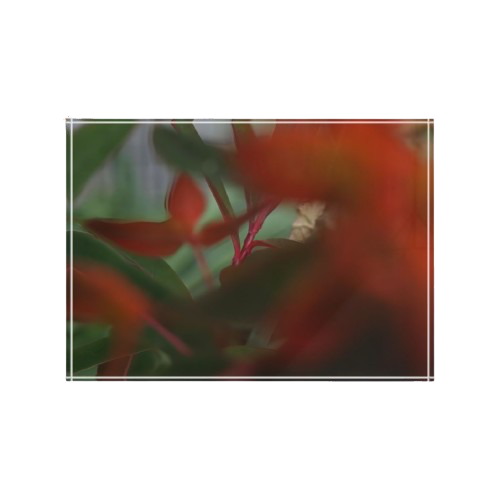 acrylic photo box size: 7''x5'' horizontal featuring close up photograph of bright red and green plants