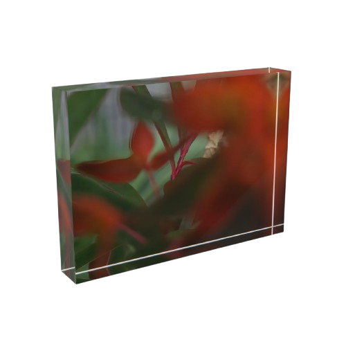 acrylic photo box size: 7''x5'' horizontal featuring close up photograph of bright red and green plants