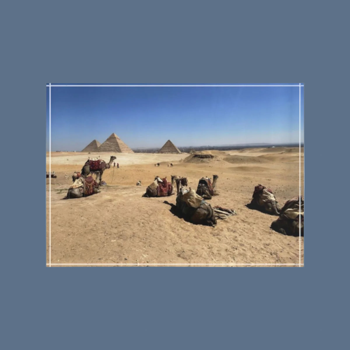 Full color acrylic photo block featuring camels resting before the Pyramids of Giza, printed on 7"x5"x1" crystal-clear acrylic with warm desert tones.