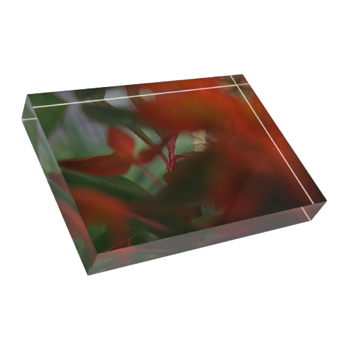 acrylic photo box size: 7''x5'' horizontal featuring close up photograph of bright red and green plants