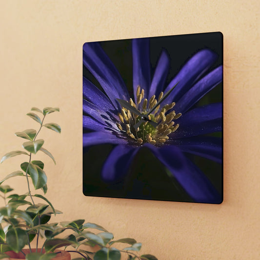 Floral acrylic wall clock featuring close up of purple anemone