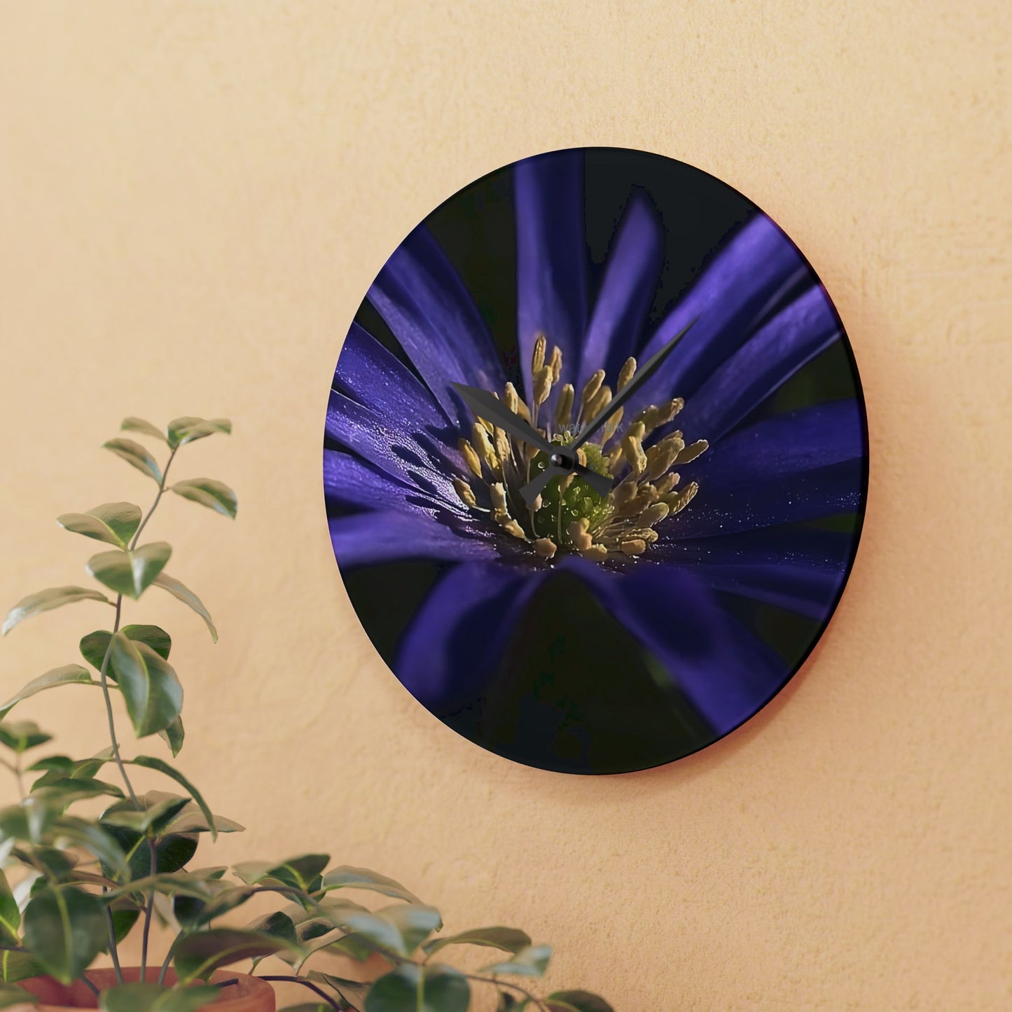Floral acrylic wall clock featuring close up of purple anemone
