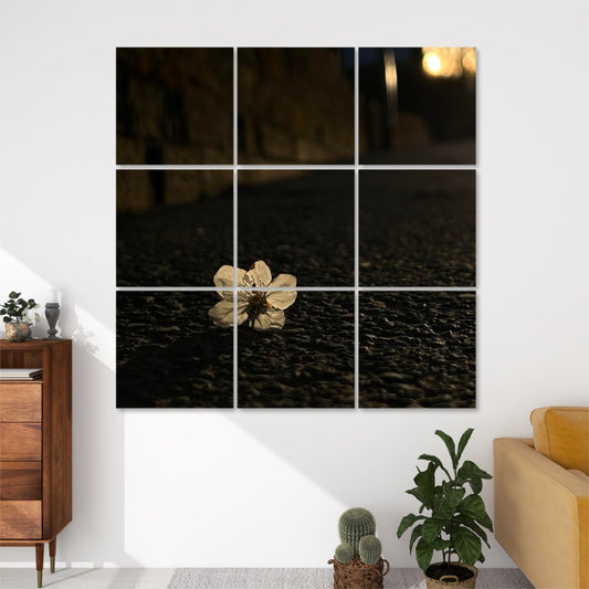 Front view of 9-panel acoustic wall art showing a single white blossom on textured asphalt under warm golden sunset light.