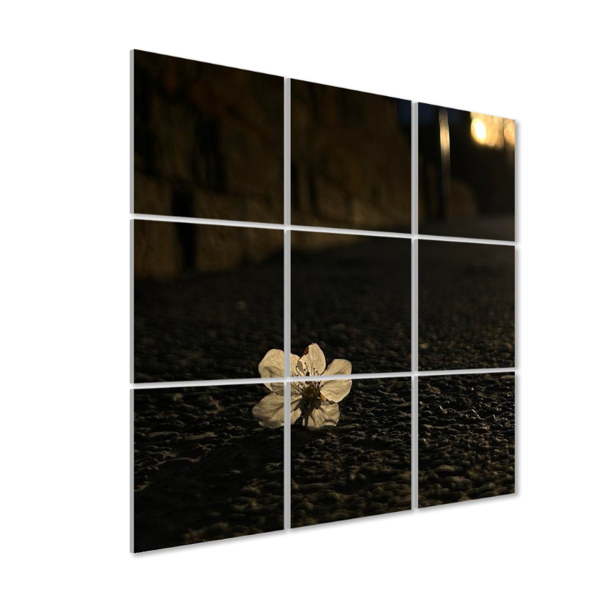 Left-angle view of Asphalt Bloom wall art showing a white blossom on city pavement at sunset with golden highlights and soft shadows.