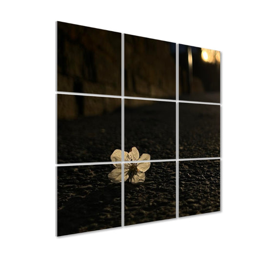 Left-angle view of Asphalt Bloom wall art showing a white blossom on city pavement at sunset with golden highlights and soft shadows.