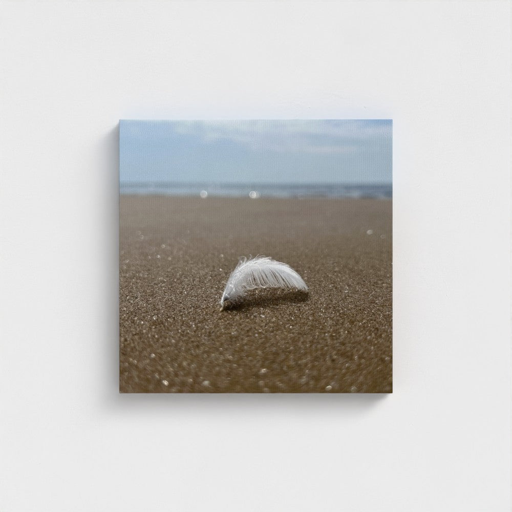 Papi's Canvas beach wall art featuring a white feather on sand with ocean background eco-friendly decor