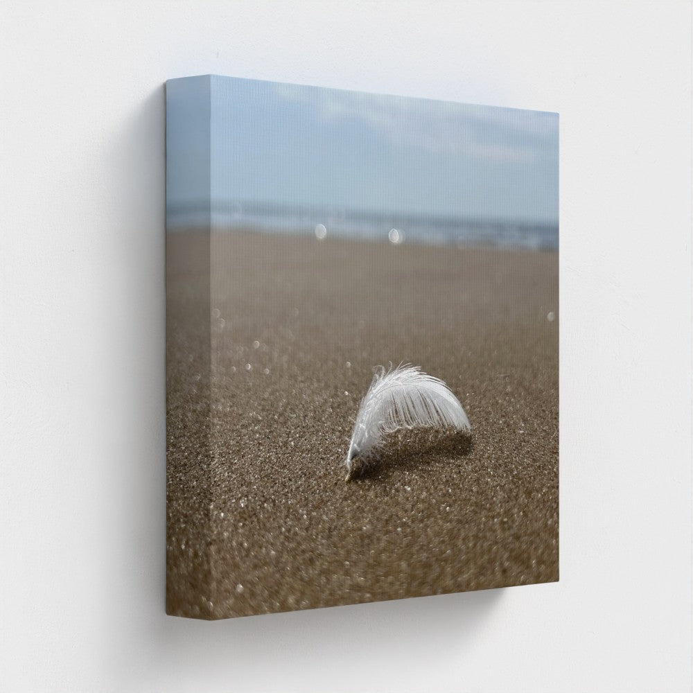 Papi's Canvas Beach Wall Art - Eco-Friendly Decor featuring feather on sand