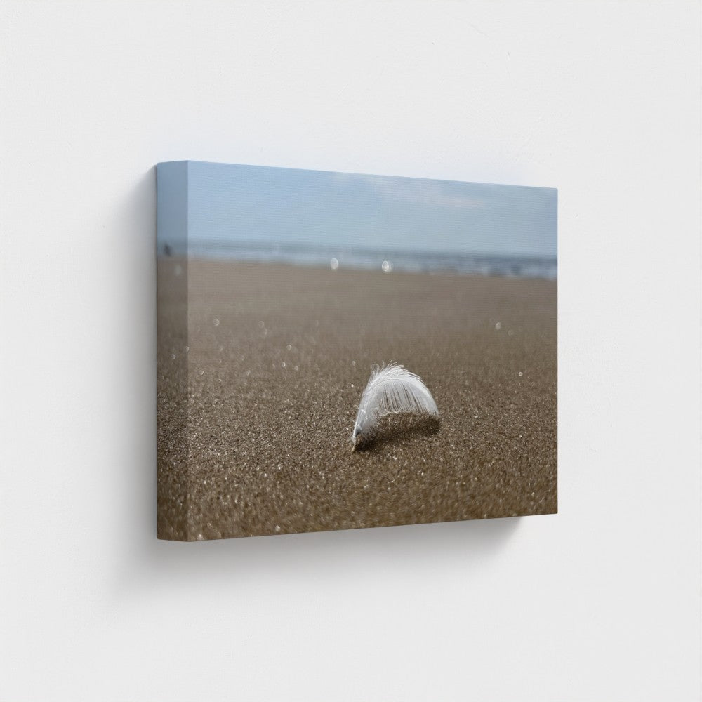 feather on the sand canvas print from Papi's Canvas as Beach Wall Art - Eco-Friendly Decor