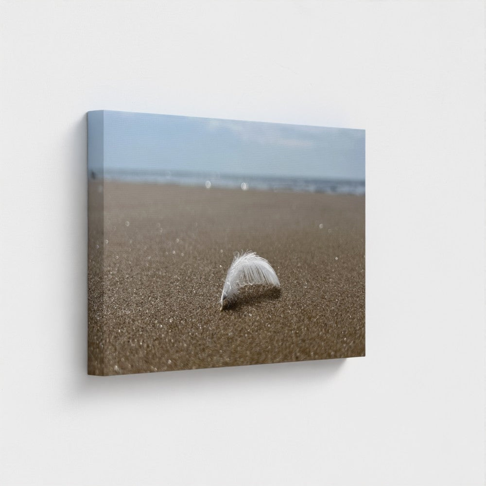 feather on sand canvas wall art by Papi's Canvas Beach Wall Art - Eco-Friendly Decor