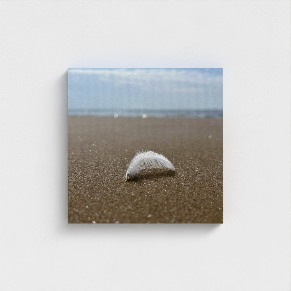 canvas print showcasing a feather on the sand for Beach Wall Art - Eco-Friendly Decor