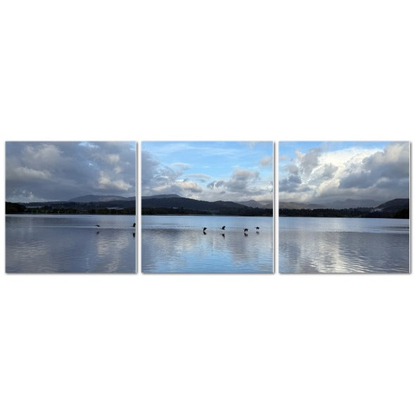 Birds Flying Over Windermere Lake - Lake District Landscape with tranquil water and scenic mountains