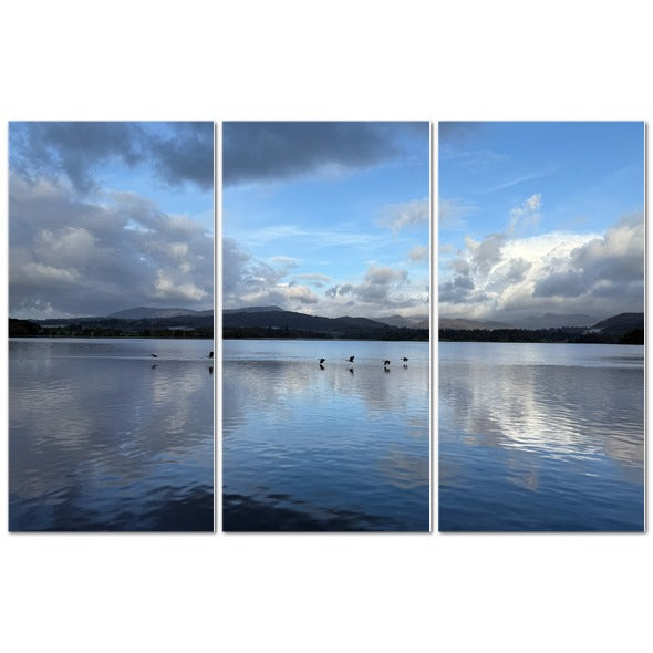 Tranquil landscape of Birds Flying Over Windermere Lake - Lake District Landscape with reflections on water