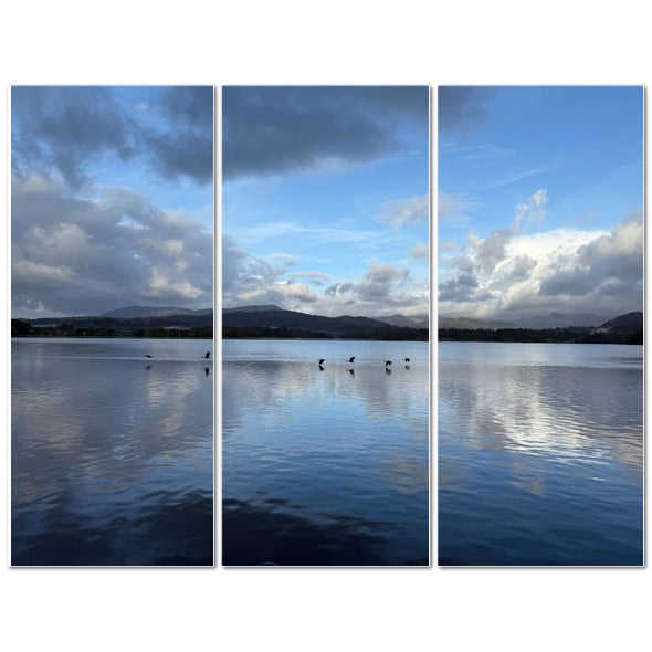 Beautiful landscape of Birds Flying Over Windermere Lake - Lake District Landscape with serene waters and cloudy sky.