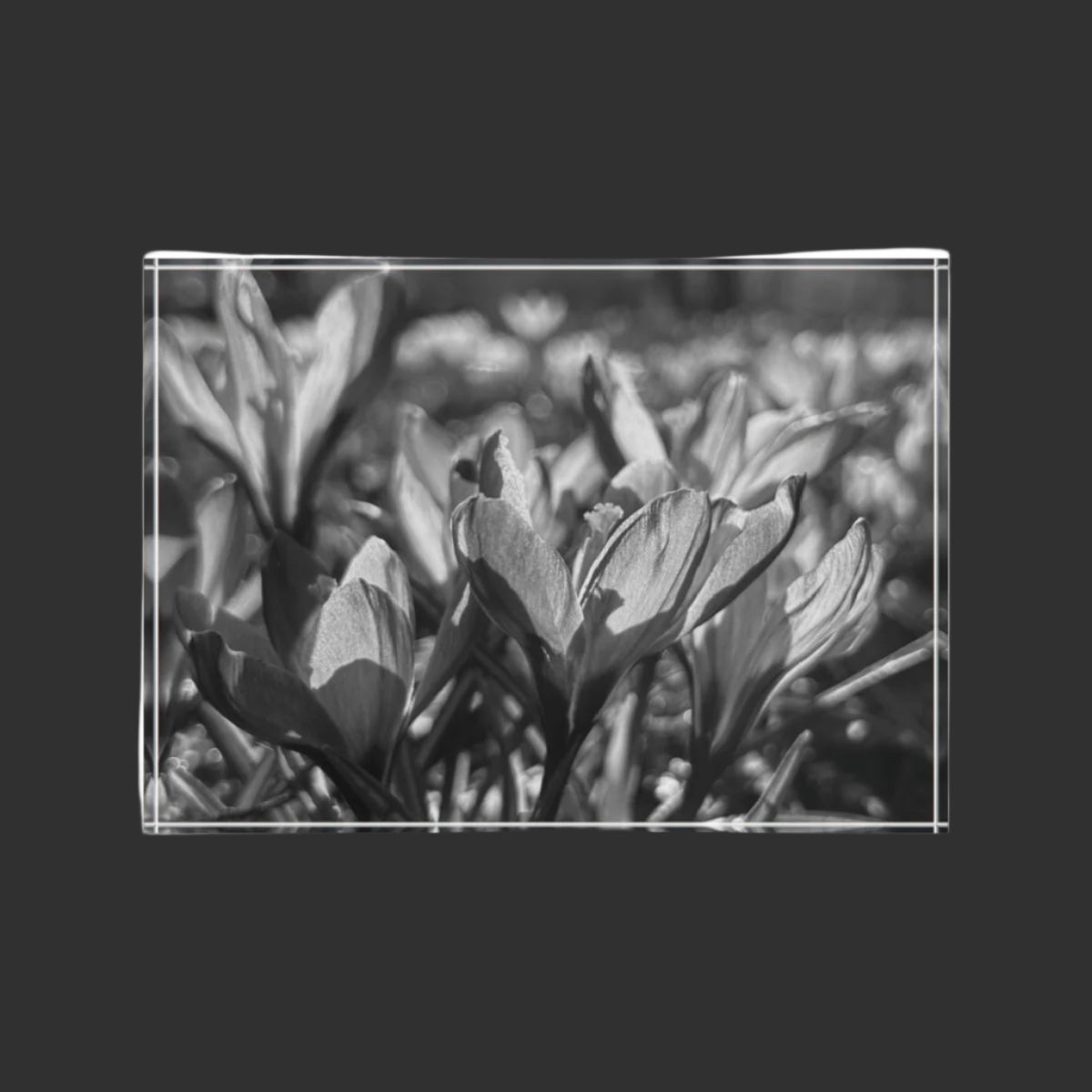 black and white floral acrylic photo block
