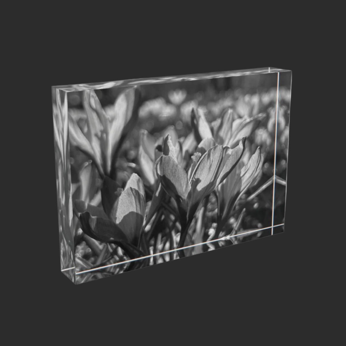 black and white floral acrylic photo block