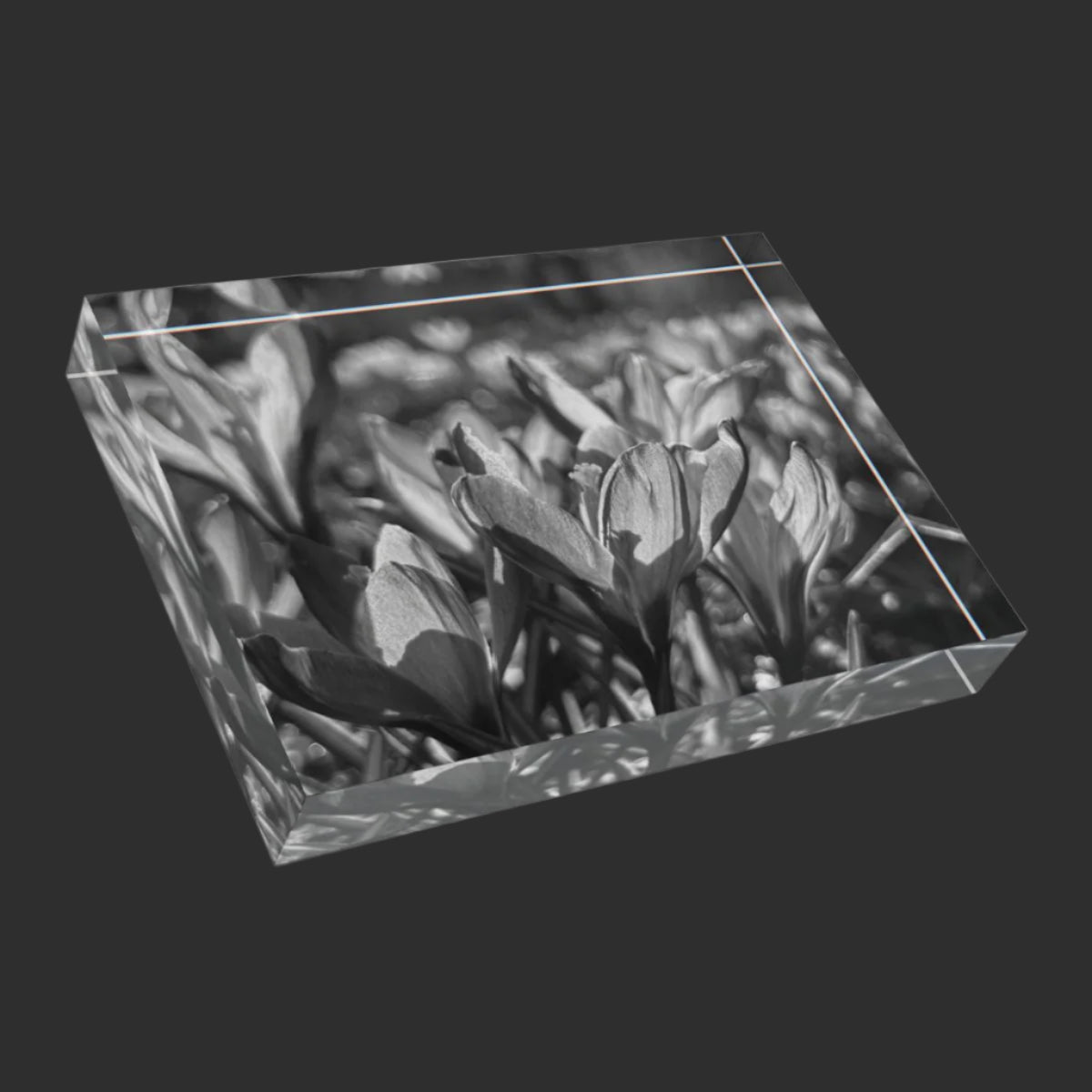 black and white floral acrylic photo block