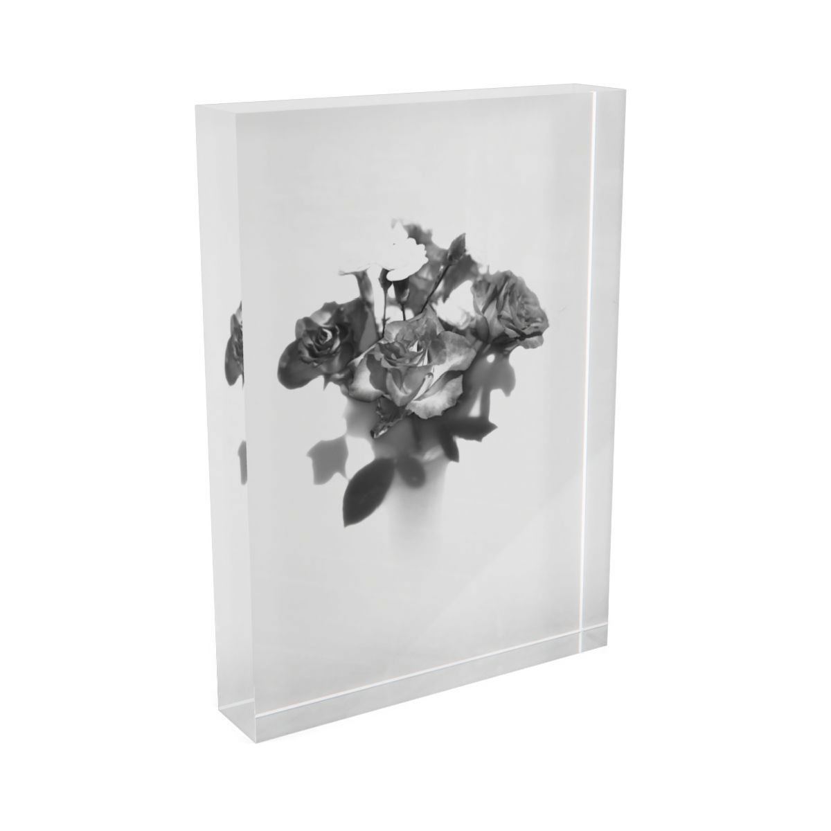 acrylic photo block featuring black and white photograph of rose on white background