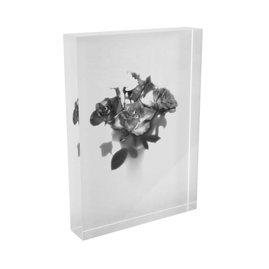 acrylic photo block featuring black and white photograph of rose on white background