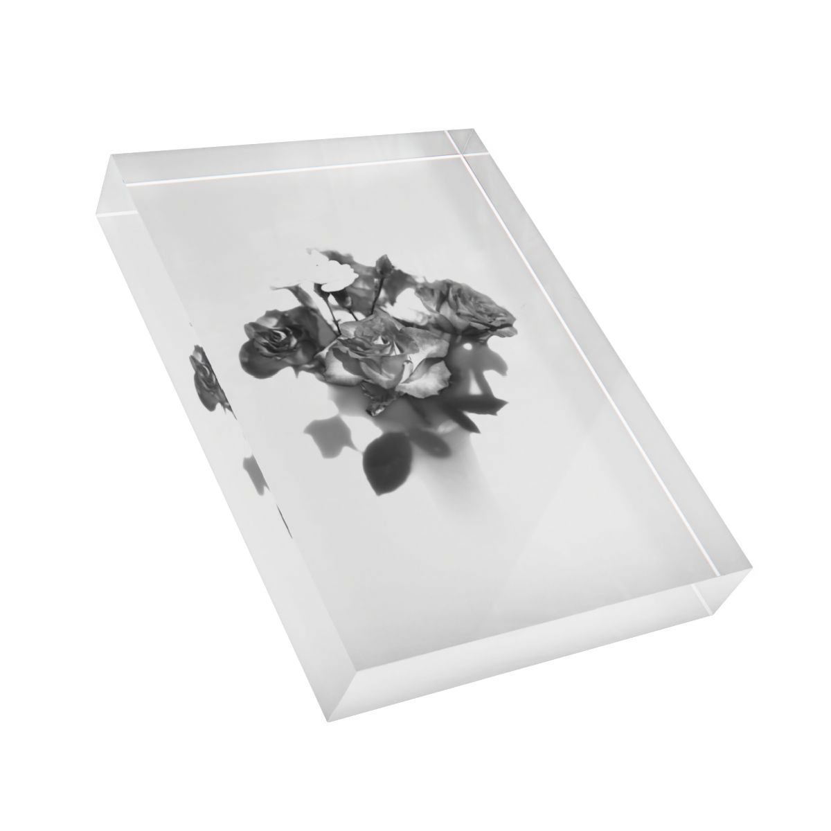 acrylic photo block featuring black and white photograph of rose on white background