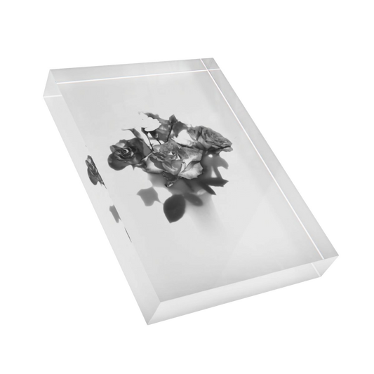 acrylic photo block featuring black and white photograph of rose on white background