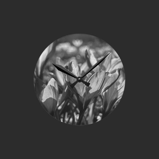 black and white acrylic wall clock featuring crocus