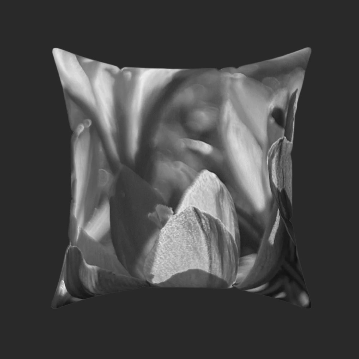 black and white throw pillow