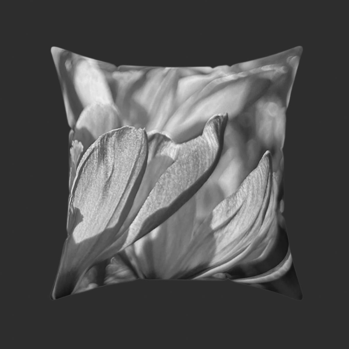 black and white throw pillow
