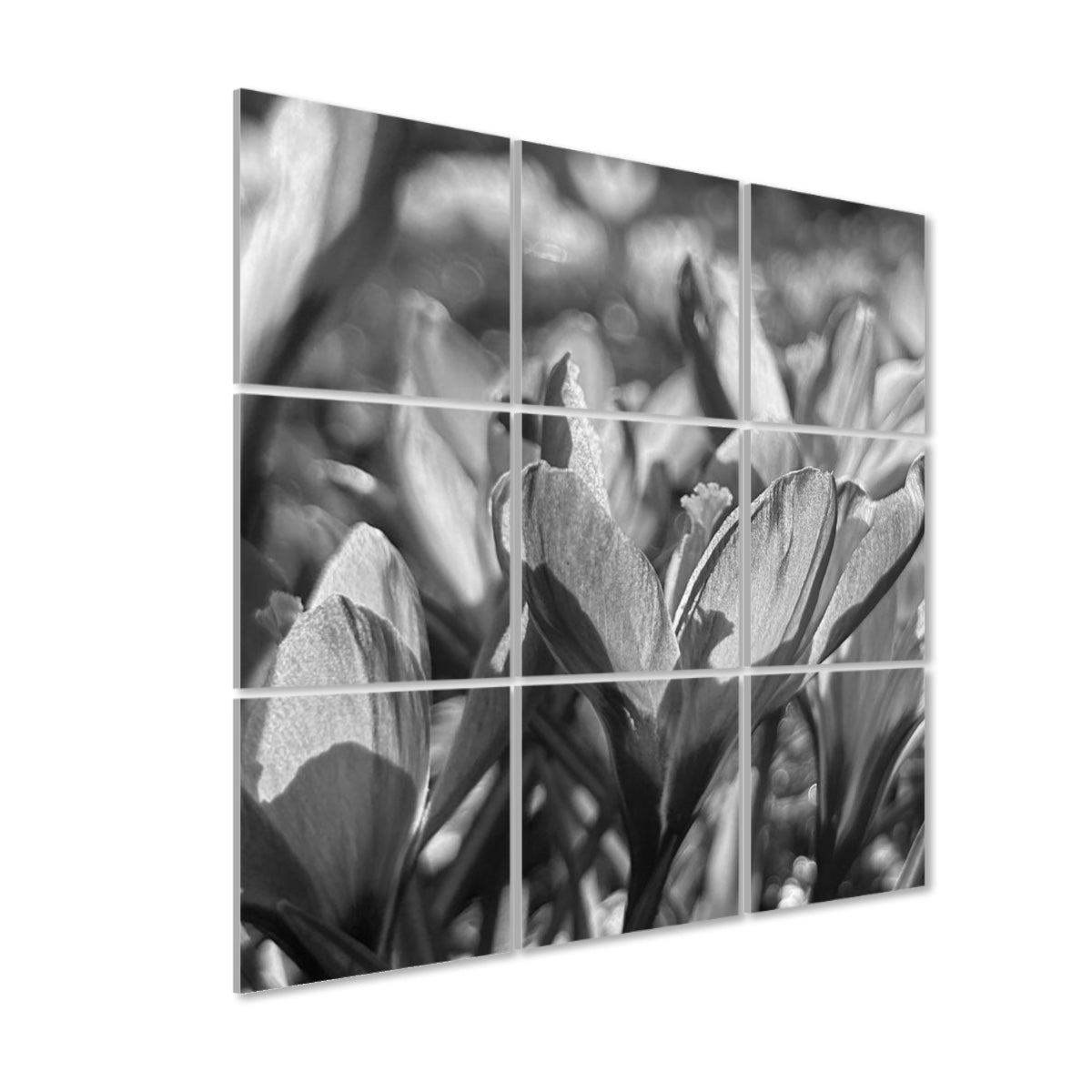 Greyscale 9-panel acoustic wall art of purple crocuses, with soft tonal variation and subtle detail across a spring flower scene.