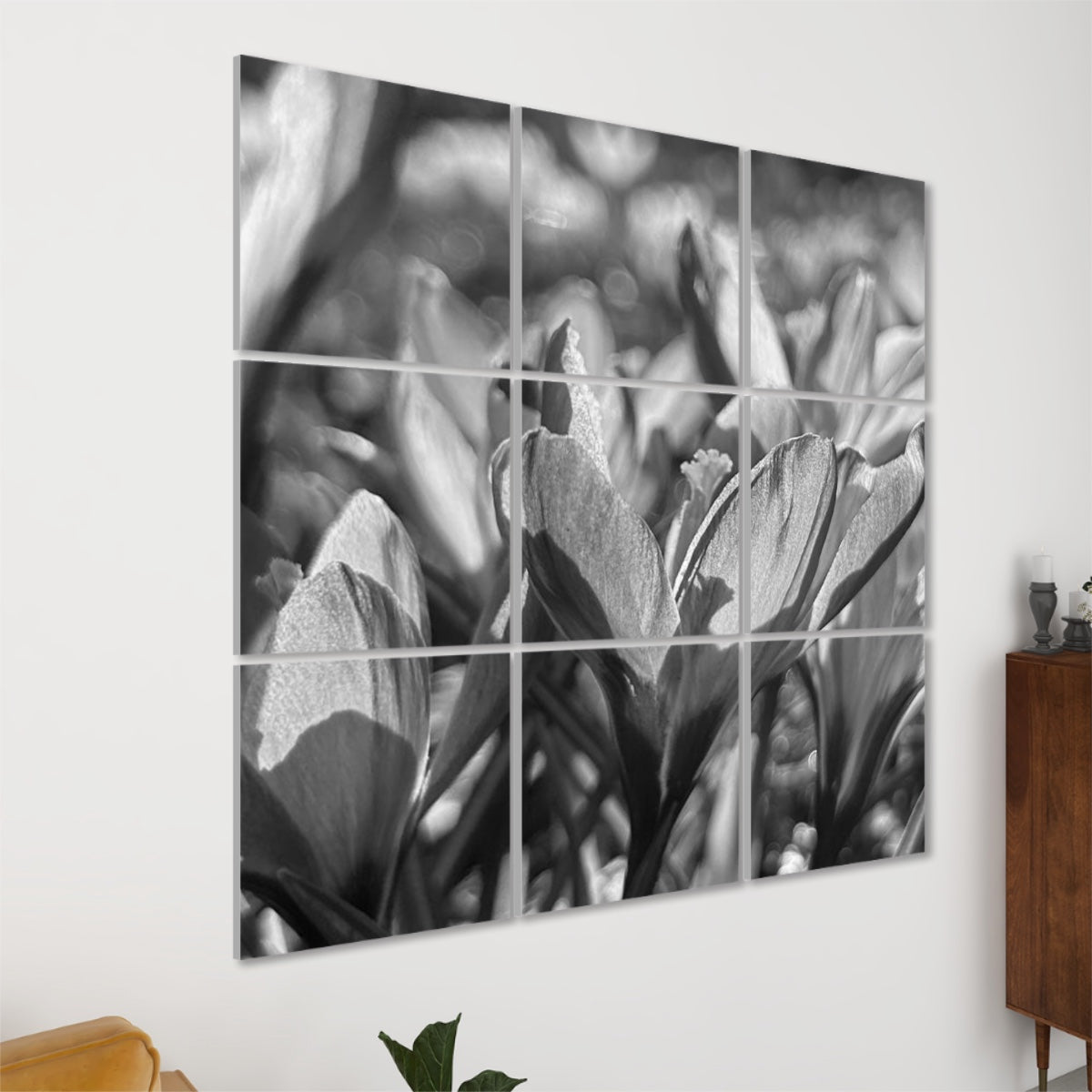 Black and white 9 floral sound absorbing panels featuring close up image of crocus, size of each panel: 20''x20''