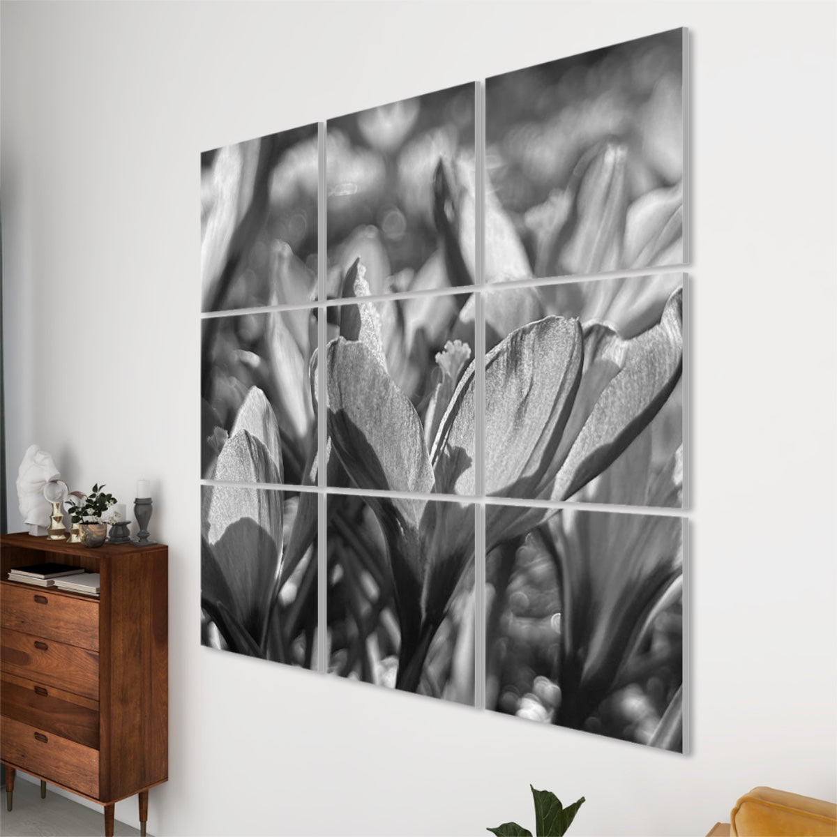 Black and white 9 floral sound absorbing panels featuring close up image of crocus, size of each panel: 20''x20''