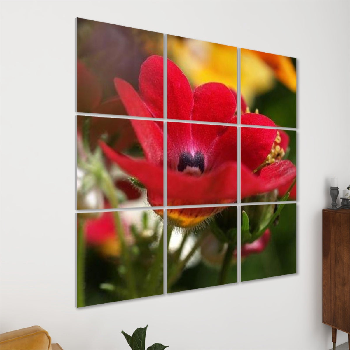 Close-up of vivid red Nemesia flower in bloom, set against a lush green and orange floral background in full color.