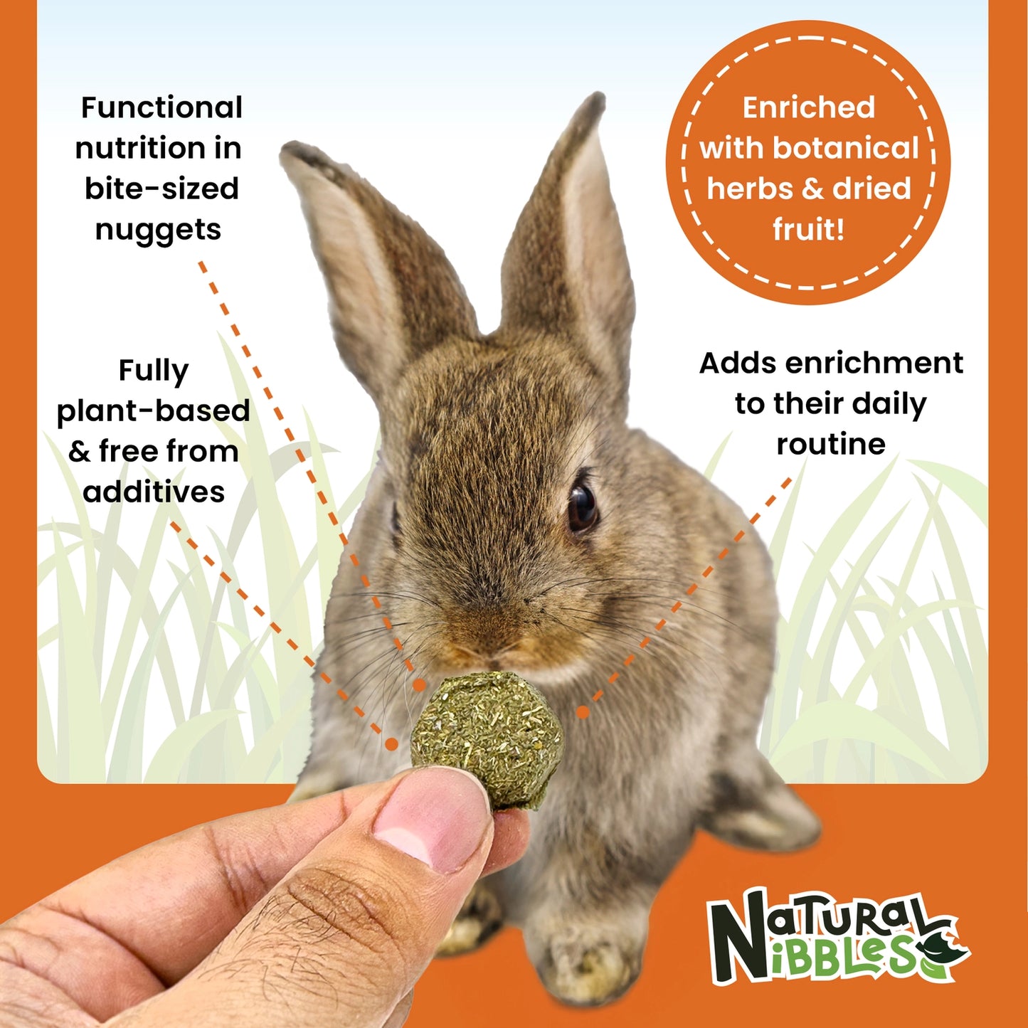 Natural Nibbles ProCare+ Digestion Treat Supplement for Rabbits, Guinea Pigs, and Small Animals