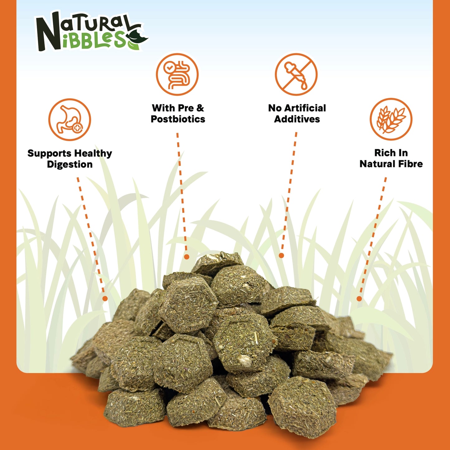 Natural Nibbles ProCare+ Digestion Treat Supplement for Rabbits, Guinea Pigs, and Small Animals