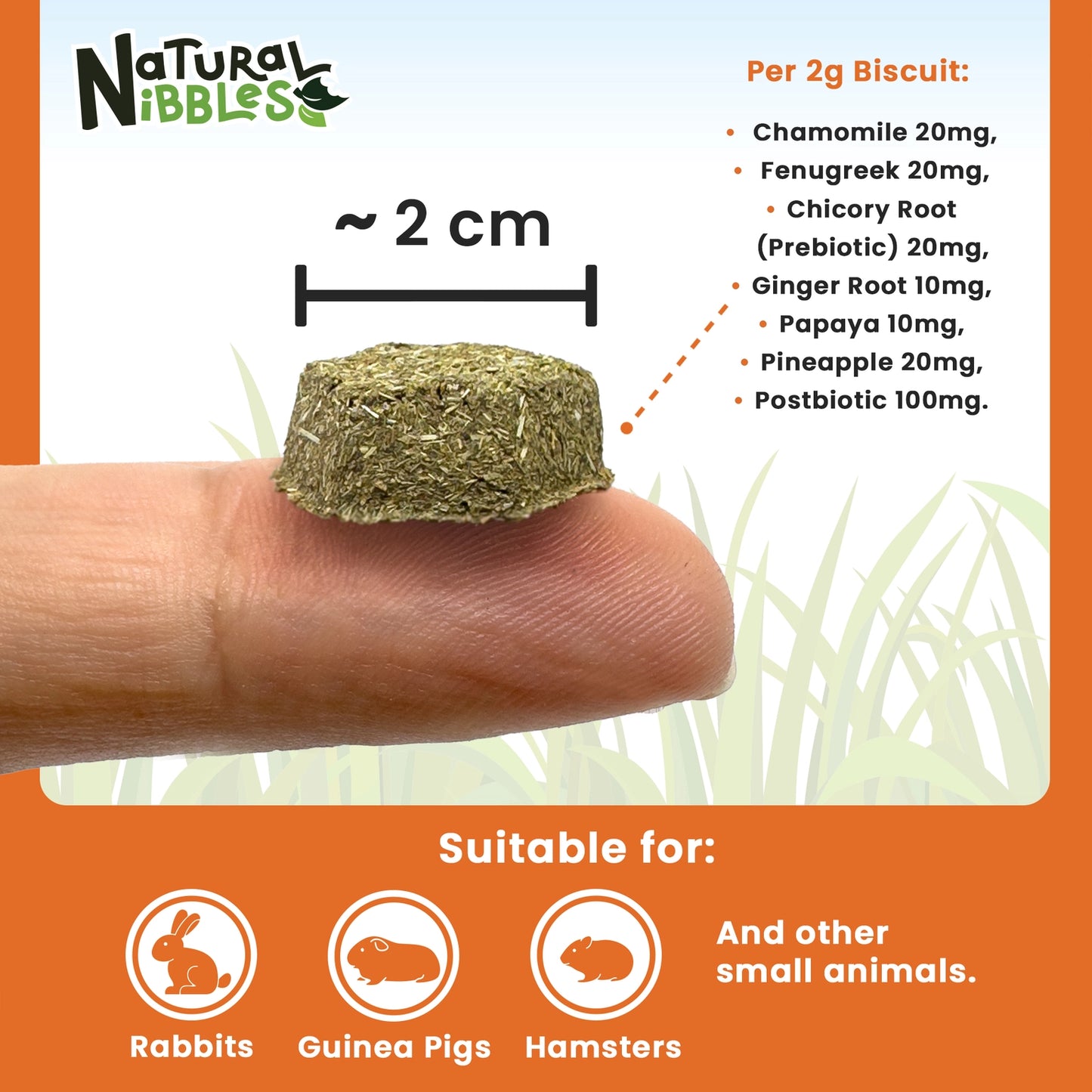 Natural Nibbles ProCare+ Digestion Treat Supplement for Rabbits, Guinea Pigs, and Small Animals