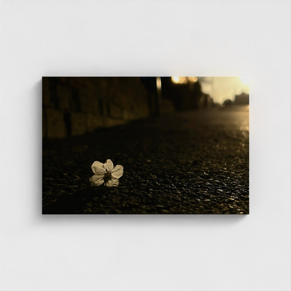 Dark textured surface with a single white flower petal on Eco-Friendly Vegan Canvas by Papi's Canvas