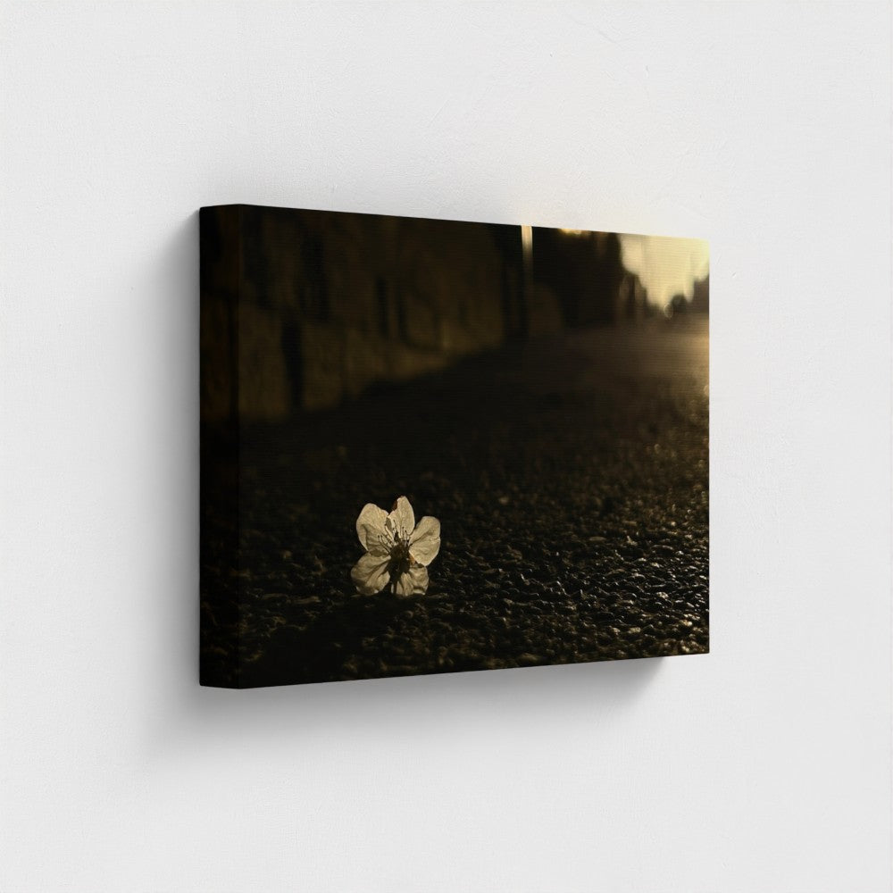 Papi's Canvas wall art featuring a close-up of a single flower on dark pavement eco-friendly vegan canvas print