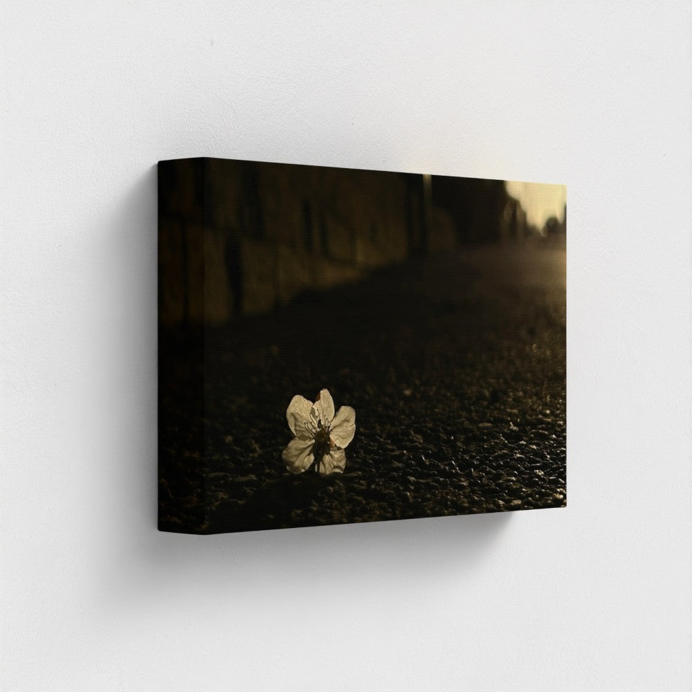 Papi's Canvas eco-friendly vegan canvas wall art featuring a single white flower on dark textured ground