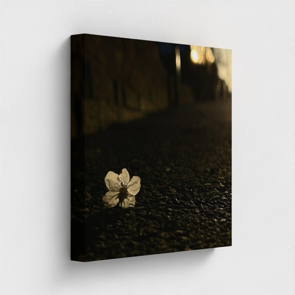 Papi's Canvas wall art featuring a close-up flower on dark textured ground printed on Eco-Friendly Vegan Canvas