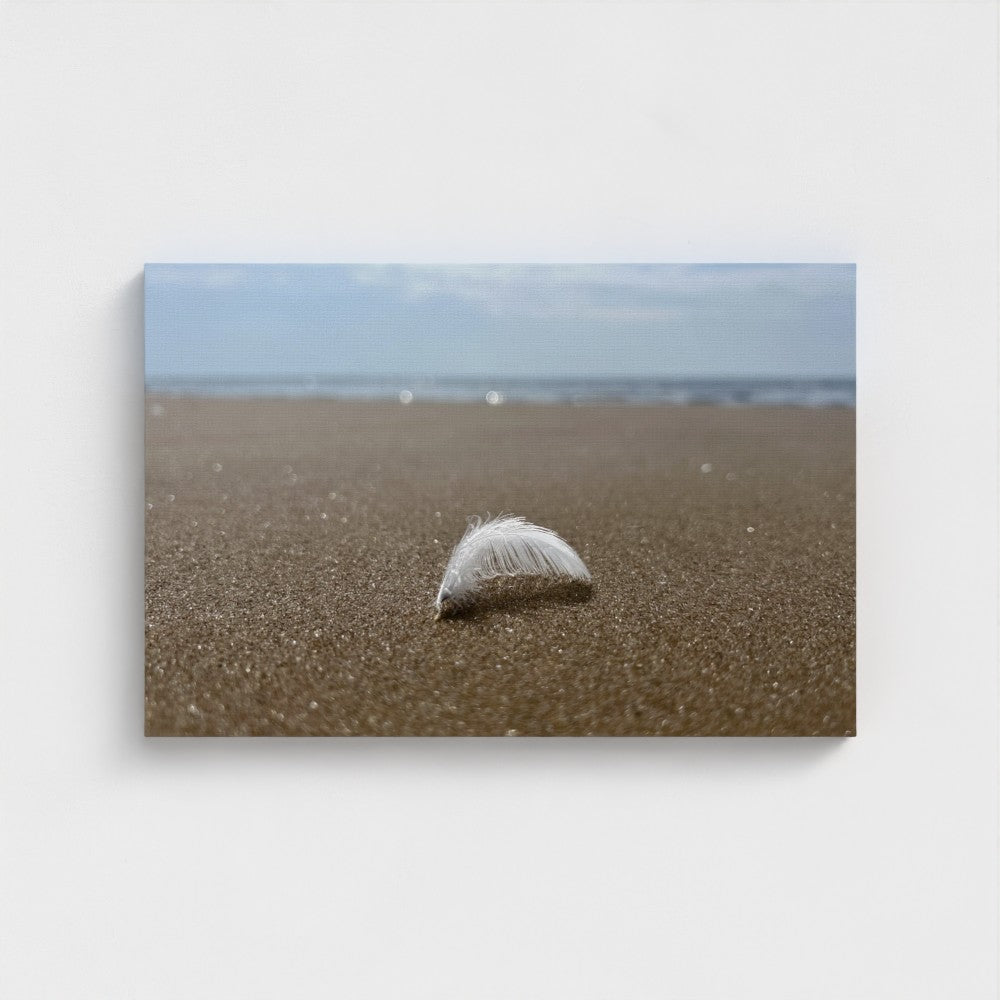 canvas print featuring ancient feather on the sand for Beach Wall Art - Eco-Friendly Decor