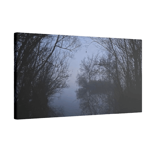 Giclée Canvas Print