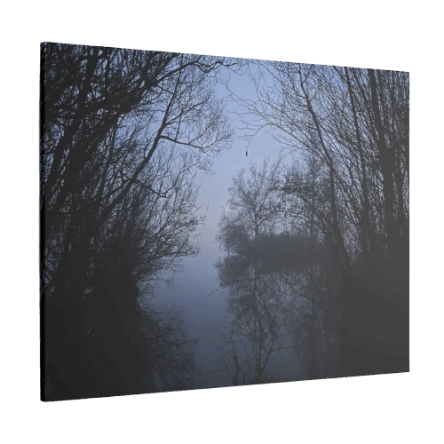Giclée Canvas Print