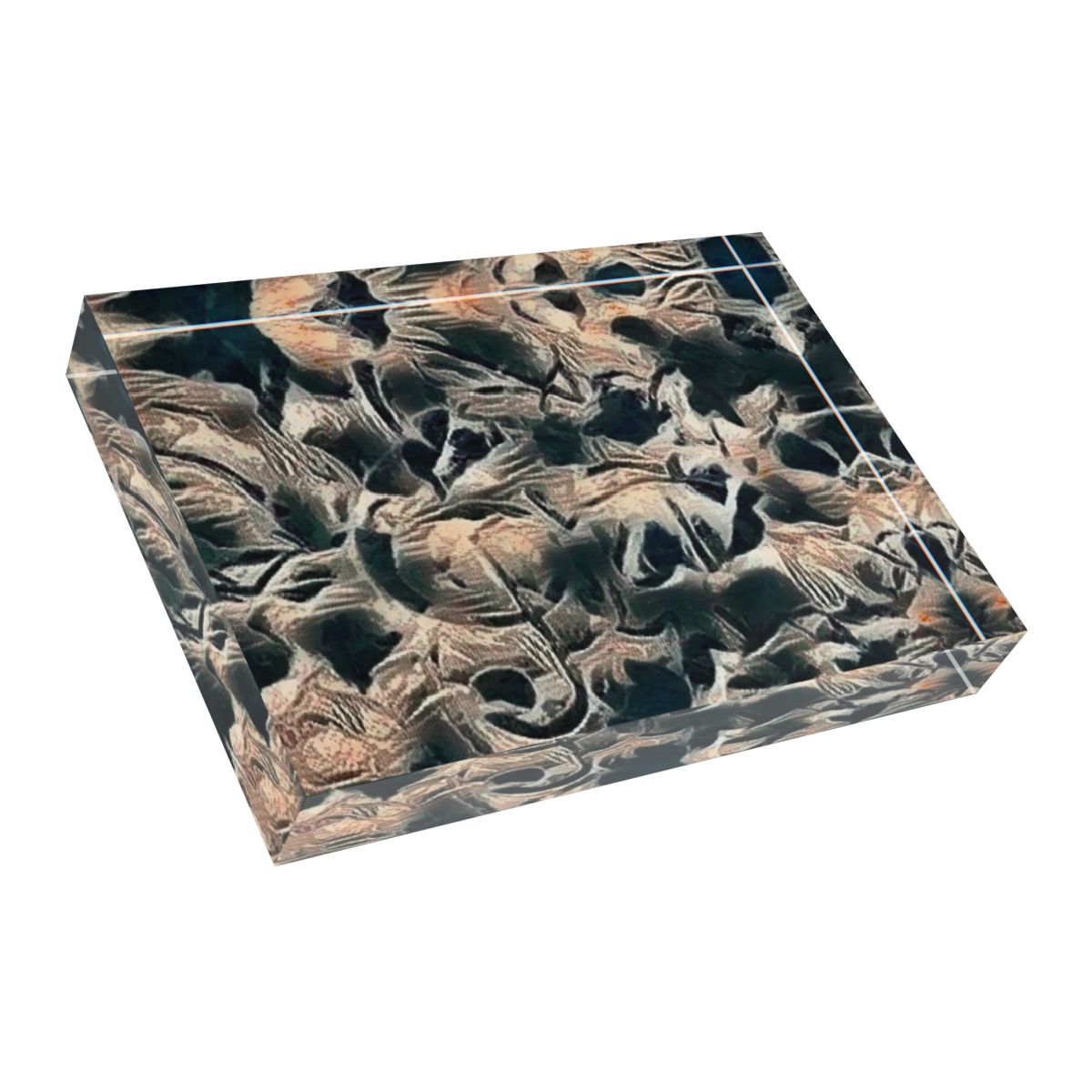 Angled bottom-left perspective emphasizing haunting, shifting textures